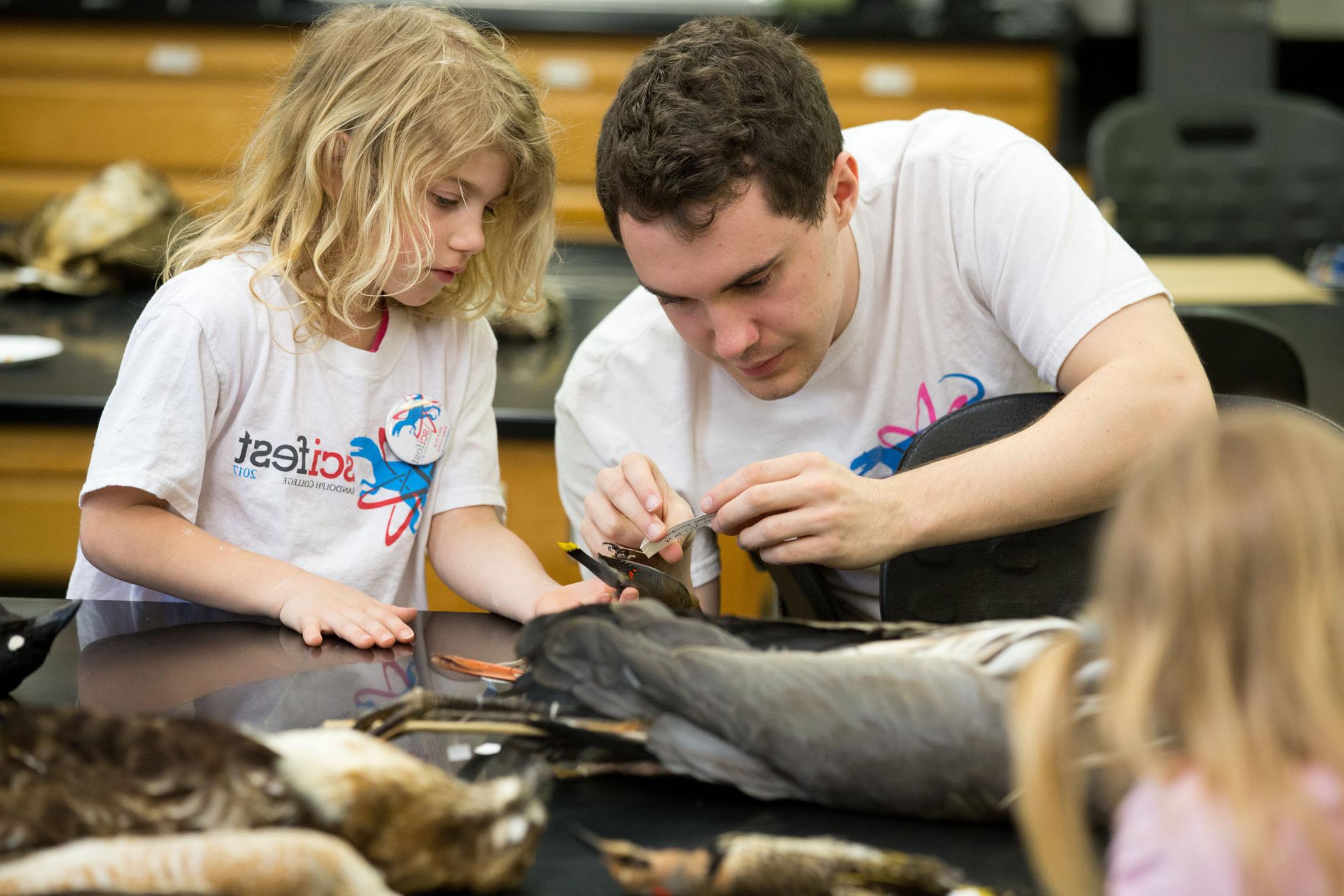randolph-college-scifest-having-a-pheasant-time-in-the-orinithology-collection.jpg