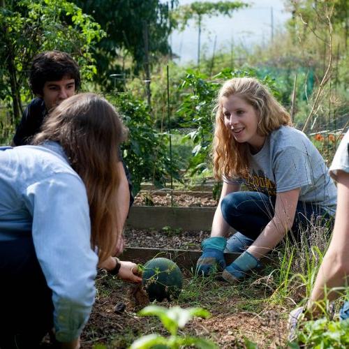 学生们在365亚洲版学院有机花园工作，这是一个生活可持续性和永续农业实验室.