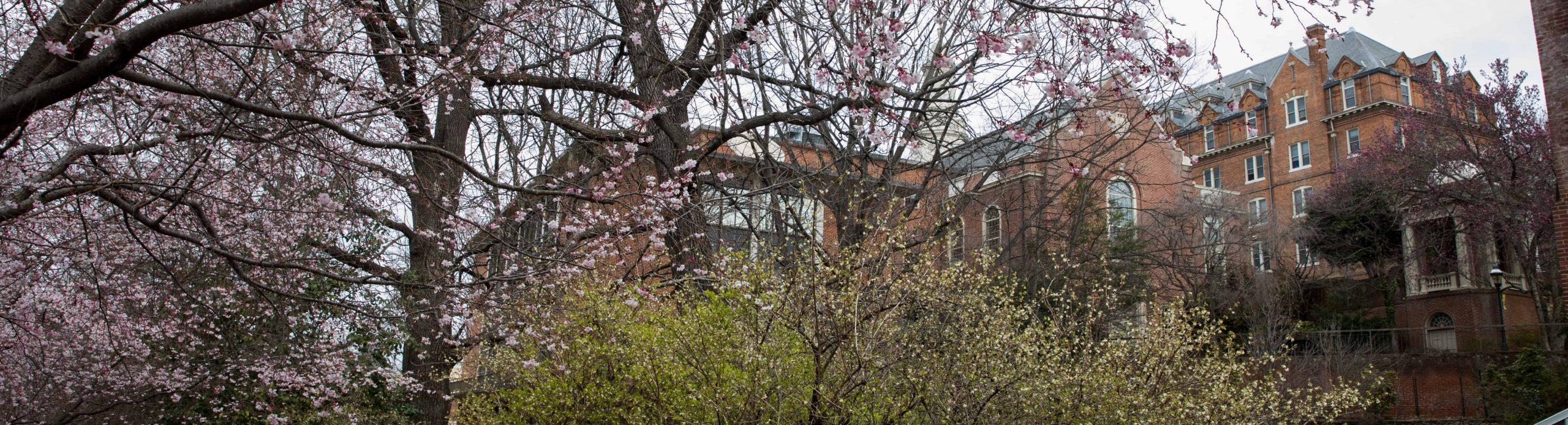 Photo of campus in spring